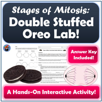 Stages Of Mitosis Lab Activity Double Stuffed Oreo Tpt