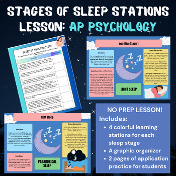 Preview of Stages of Sleep Stations and Application Activity NO PREP Lesson - AP Psychology