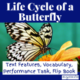 Stages of a Butterfly Life Cycle 