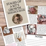 Stages of a Kit’s Growth Research Book