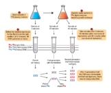 Stahl Meselson Experiment