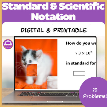 Preview of Standard and Scientific Notation Math Resource