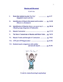 Anatomy Notes for Muscles:  Star's Notes Muscle & Movememt Module