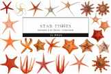 Starfish Art, Seastar Illustrations, Coastal Decor, Beach Prints