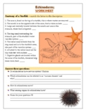 Starfish. Echinoderms worksheet. Distance Learning!