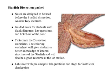 Preview of Starfish dissection bundle