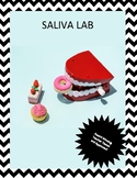 Starts with Saliva: Digestive System Lab!