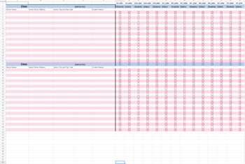 Preview of Startup: Organizing Spreadsheet