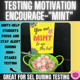 State Testing Encouragement | Test-Taking Motivation Notes