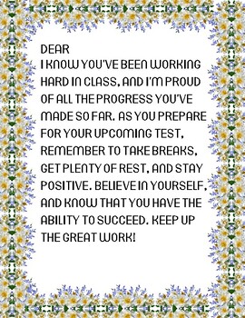Preview of State Testing Motivational Letter