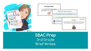 Preview of 3rd Grade State Testing Prep - Brief Writes