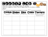 States of Matter: Solids- Cracker and Cookie Lab Report Sheets