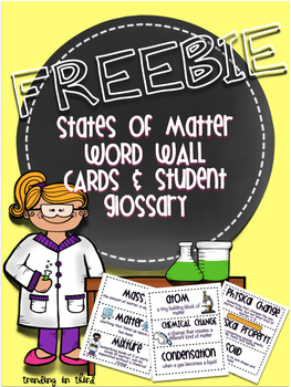 Preview of States of Matter Word Wall {FREEBIE}