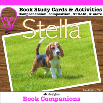 Preview of Stella by McCall Hoyle Novel Study Questions  Google Slides™ Compatible