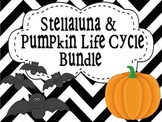 Stellaluna and Pumpkin Life Cycle Bundle