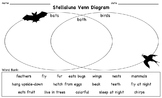 Stellaluna Venn Diagram Lesson