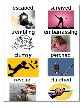 Preview of Stellaluna Vocabulary cards