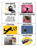 Stellaluna Vocabulary cards