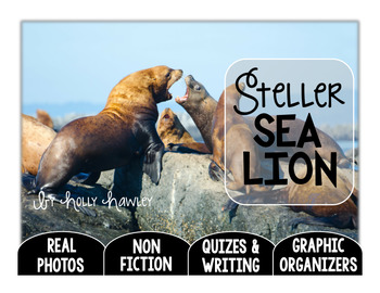Preview of Steller Sea Lion-A Research Project