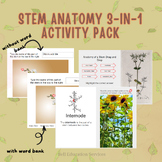 Stem Anatomy Activity Pack