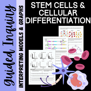 Preview of Stem Cell, Cell Differentiation, and Gene expression: Inquiry Activity