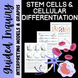 Stem Cell, Cell Differentiation, and Gene expression: Inqu