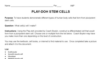 Preview of Stem Cells Play-doh Project/Lab