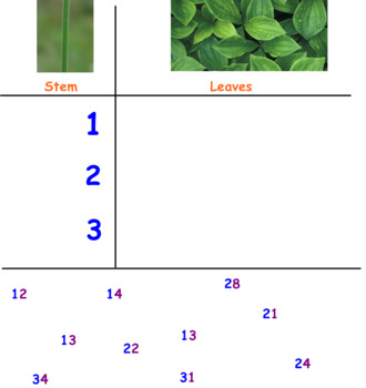 Preview of Stem and Leaf Plots