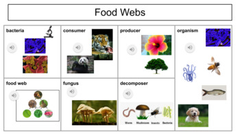 Stemscopes 5th Grade Bundle 1 Food Webs Word Wall **with audio! | TPT