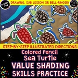 Value Shading Art Activity-Colored Pencil Drawing Turtles-