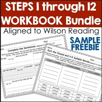 Preview of Steps 1 through 12 Worksheet Sample Freebie
