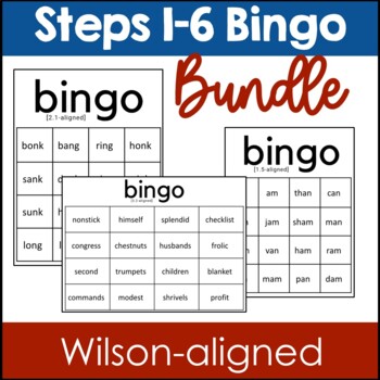 Preview of Steps 1 through 6 Bingo
