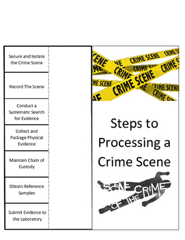 Preview of Steps to Processing a Crime Scene Foldable