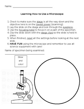 Preview of Steps to Using a Microscope