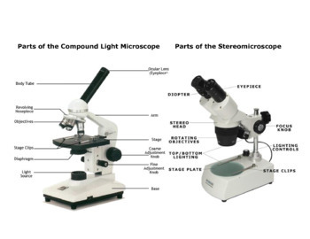 Preview of Stereo & Compound Microscope Print Out