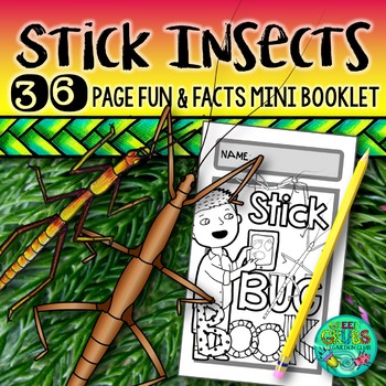 10 Fascinating Facts About Stick Insects