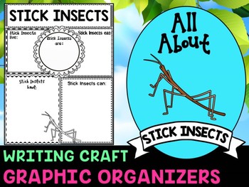 Preview of Stick Insects : Graphic Organizers and Writing Craft Set : Insects and Bugs