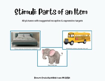 Preview of Stimuli: Parts of an Item Program (40 Pictures!) Expressive & Receptive Language
