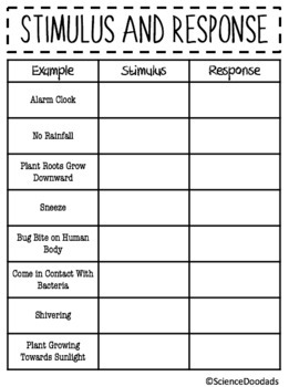 Stimulus & Response - Card Sort & Partner Activity by Science Doodads