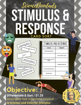 Preview of Stimulus & Response - Card Sort & Partner Activity
