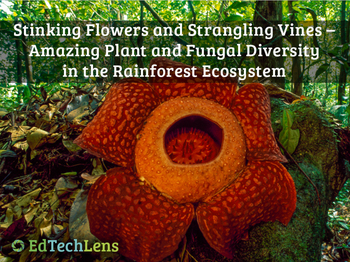 Preview of Plant Biodiversity, Including Unusual Plants & Non-plants Like Fungi Unit PDF