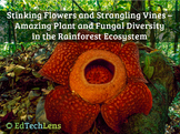 Plant Biodiversity, Including Unusual Plants & Non-plants 