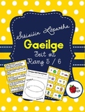 Stáisiúin Liteartha as Gaeilge SEIT 2  // Literacy Station