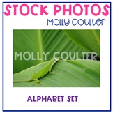 Stock Photo: Alphabet Set -Personal & Commercial Use