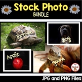 Stock Photo BUNDLE