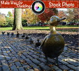 Stock Photo: Boston Make Way for Ducklings