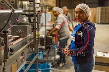 Preview of Stock Photo Girl Working In Factory Wearing Hair Net