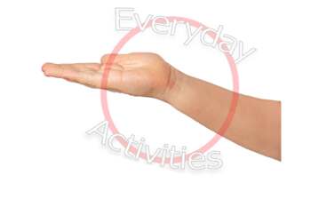 Stock Photo Hand Flat Palm Closed Right With Transparent Background
