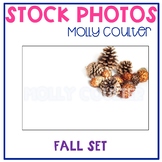 Stock Photo: Fall Set-Personal & Commercial Use