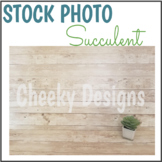 Stock Photo Succulent Mock Up Personal and Commercial Use